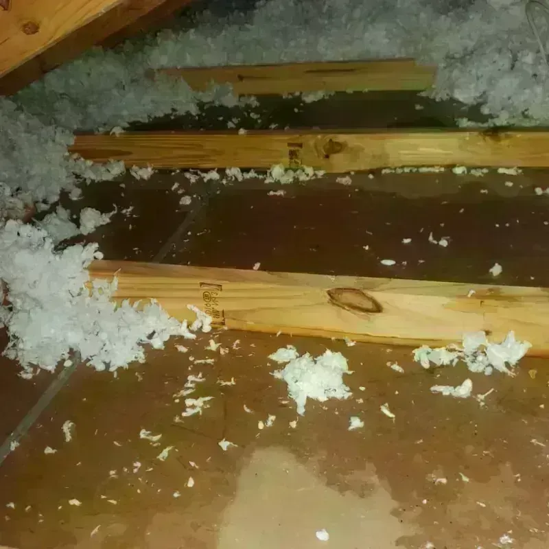 Attic Water Damage in Lower Lake, CA