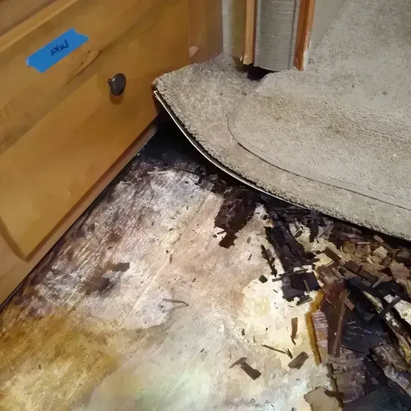 Best Wood Floor Water Damage Service in Lower Lake, CA